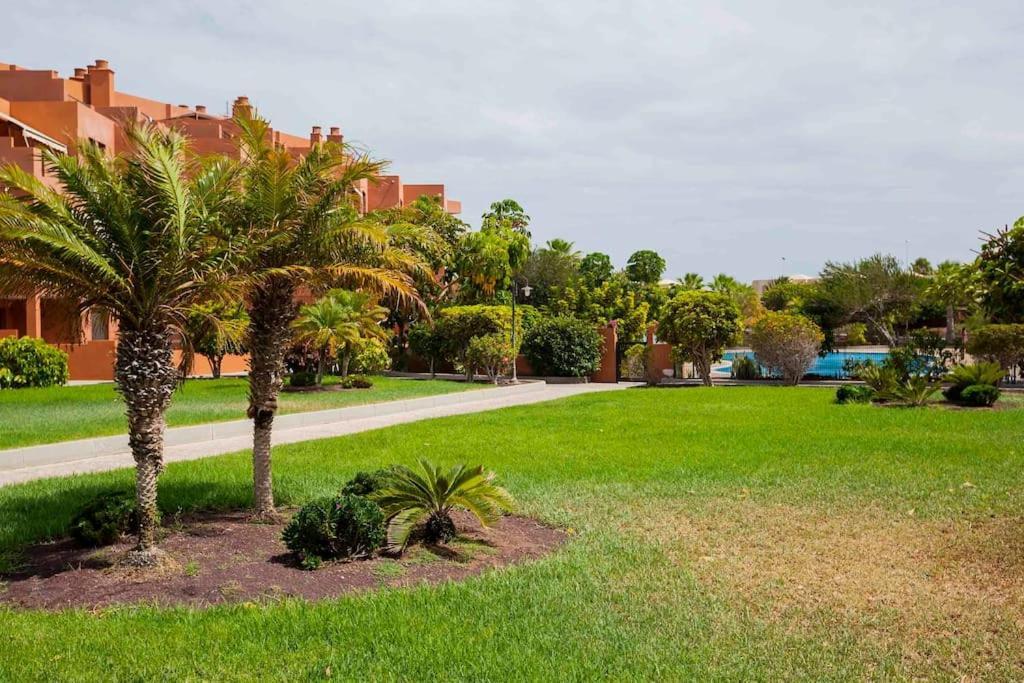 Luxury Apartment Sotavent III El Médano Zewnętrze zdjęcie